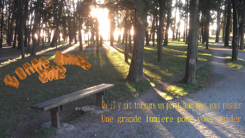 voeux 2012-2